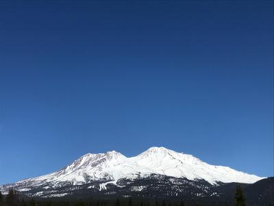 mt shasta ricint pic larg